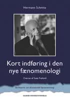 Kort indføring i den nye fænomenologi