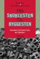 Fra snublesten til byggesten