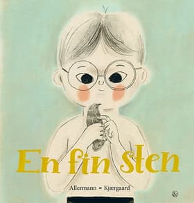 En fin sten af Anne Sofie Allermann