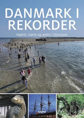 Danmark i rekorder af Jørgen Hansen