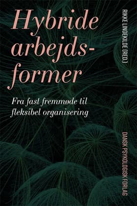 Hybride arbejdsformer af Rikke Lindekilde (red.)