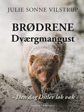 Brødrene Dværgmangust af Julie Sonne Vilstrup