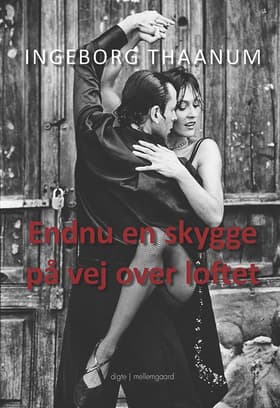 Endnu en skygge på vej over loftet af Ingeborg Thaanum