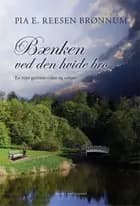 Bænken ved den hvide bro