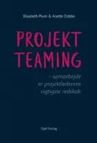 Projektteaming