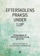 Efterskolens praksis under lup