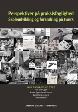 Perspektiver på praksisfaglighed af Julie Borup Jensen