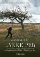 Undervejs til Lykke-Per