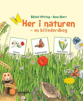Her i naturen af Bärbel Oftring