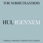 Hul igennem