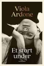 Et stort under
