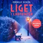 Liget i labyrinten