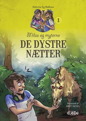 De dystre nætter af Keld Petersen