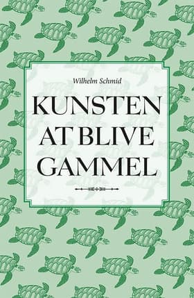 Kunsten at blive gammel af Wilhelm Schmid