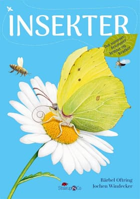 Insekter af Bärbel Oftring