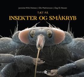Tæt på insekter og småkryb af Dag O. Hessen