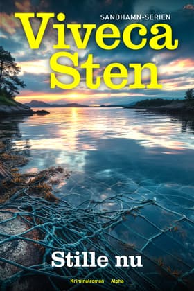 Stille nu af Viveca Sten