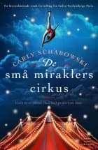 De små miraklers cirkus