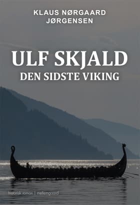 Den sidste viking af Klaus Nørgaard Jørgensen