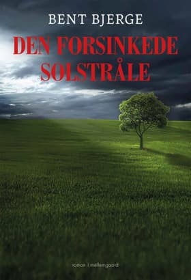 Den forsinkede solstråle af Bent Bjerge