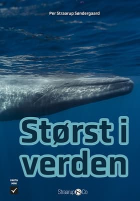 Størst i verden af Per Straarup Søndergaard