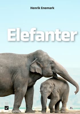 Elefanter af Henrik Enemark