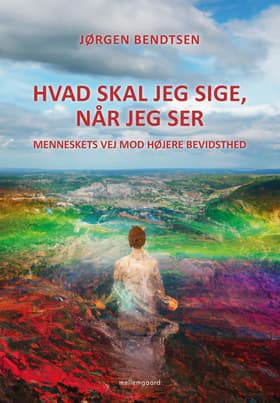 Hvad skal jeg sige, når jeg ser? af Jørgen Bendtsen