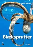 Blæksprutter