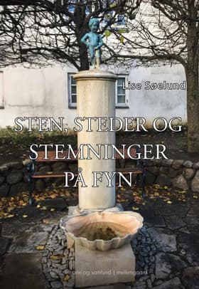 Sten, steder og stemninger på Fyn af Lise Søelund