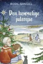 Den hemmelige julerejse