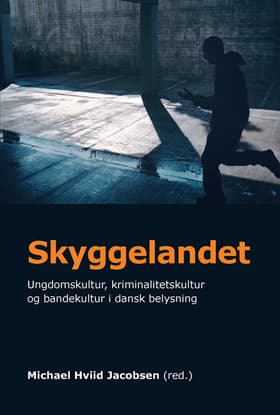 Skyggelandet af Michael Hviid Jacobsen