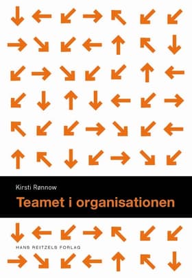 Teamet i organisationen af Kirsti Frimodt Rønnow