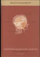 Basal Neuroanatomi