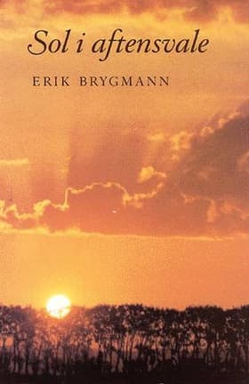 Sol i aftensvale af Erik Brygmann