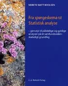 Fra spørgeskema til statistisk analyse
