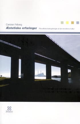 Æstetiske erfaringer af Carsten Friberg