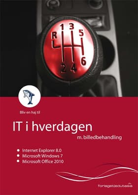 IT i hverdagen af Lone Riemer