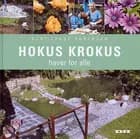 Hokus Krokus
