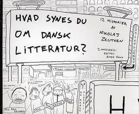Hvad synes du om dansk litteratur? af Nikolaj Zeuthen