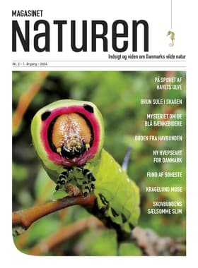 Magasinet Naturen Nr. 2 - 2024 af Morten Top