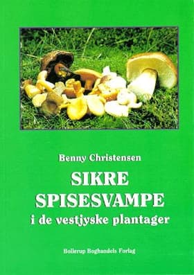Sikre spisesvampe i de vestjyske plantager af Benny Christensen