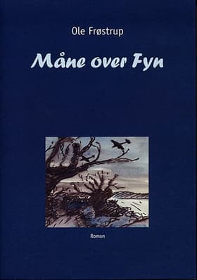 Måne over Fyn af Ole Frøstrup