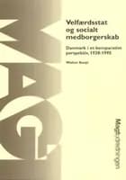 Velfærdsstat og socialt medborgerskab