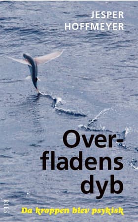 Overfladens dyb af Jesper