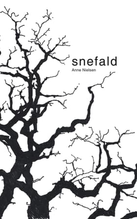 Snefald af Anne Nielsen