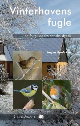 Vinterhavens fugle af Jesper Bønlykke