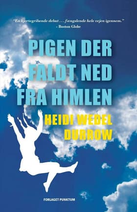 Pigen der faldt ned fra himlen af Heidi W. Durrow