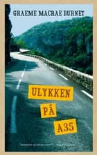 Ulykken på A35