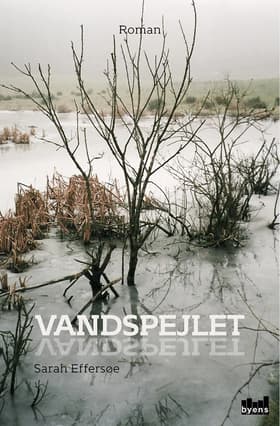 Vandspejlet af Sarah Effersøe