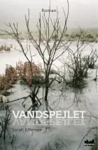 Vandspejlet